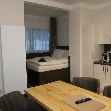 Orion Guest house Abertamy