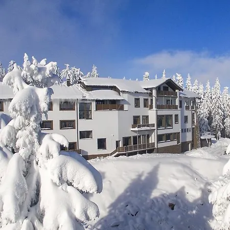 Orion Guest house 4*